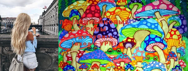 МДПВ Вяземский