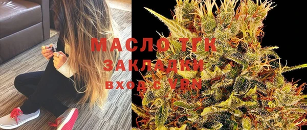 МДПВ Вяземский