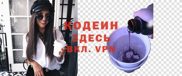 МДПВ Вяземский